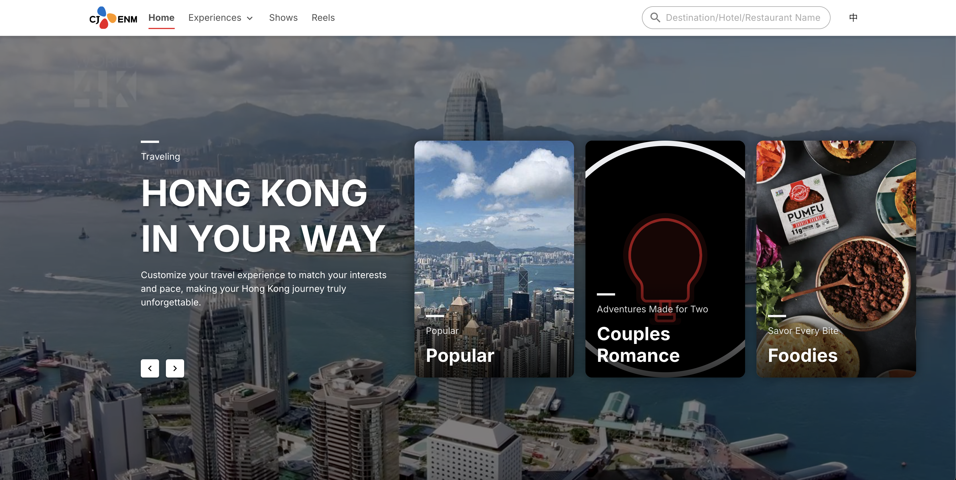 Travel website screenshot 1