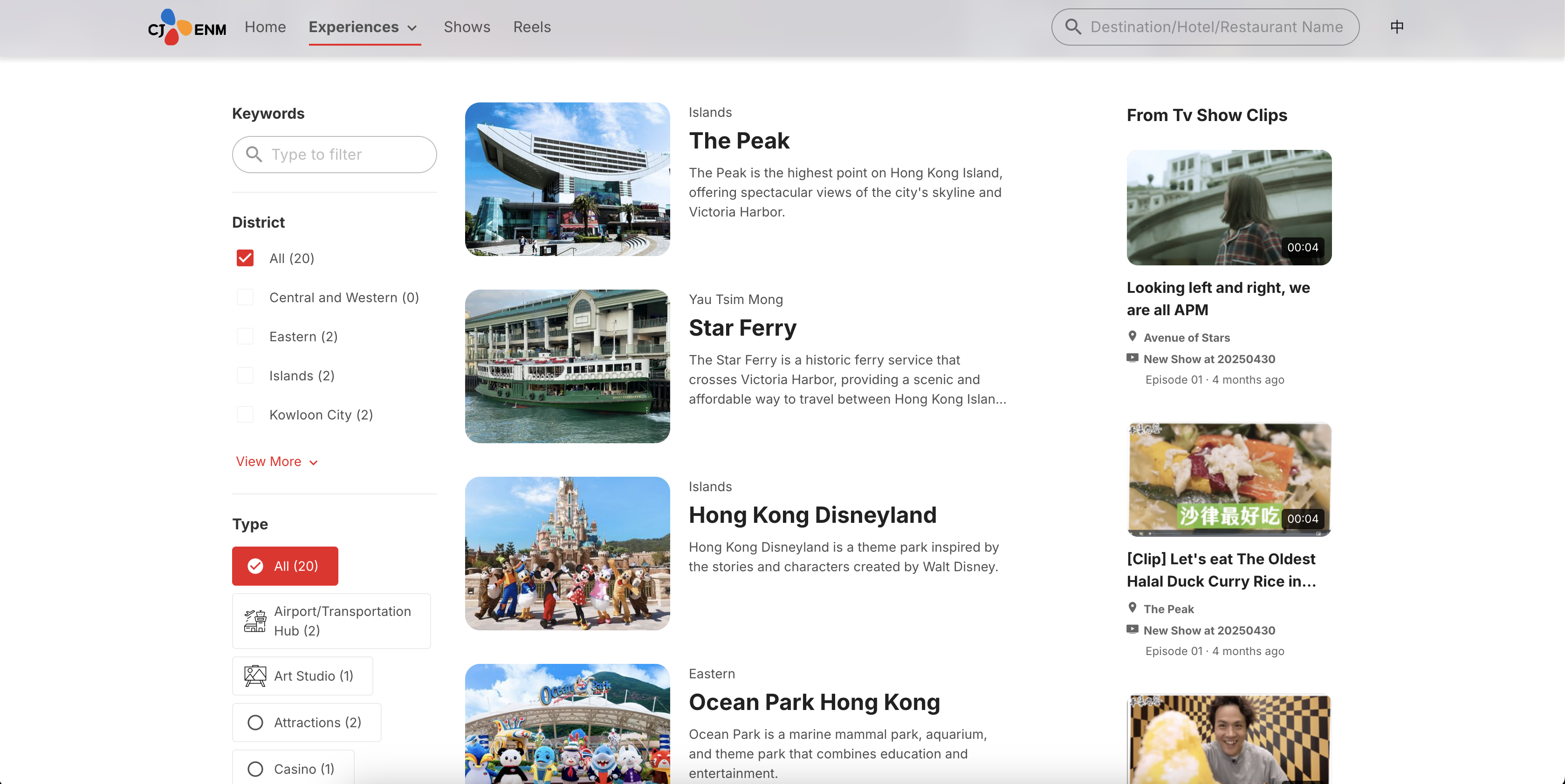 Travel website screenshot 2